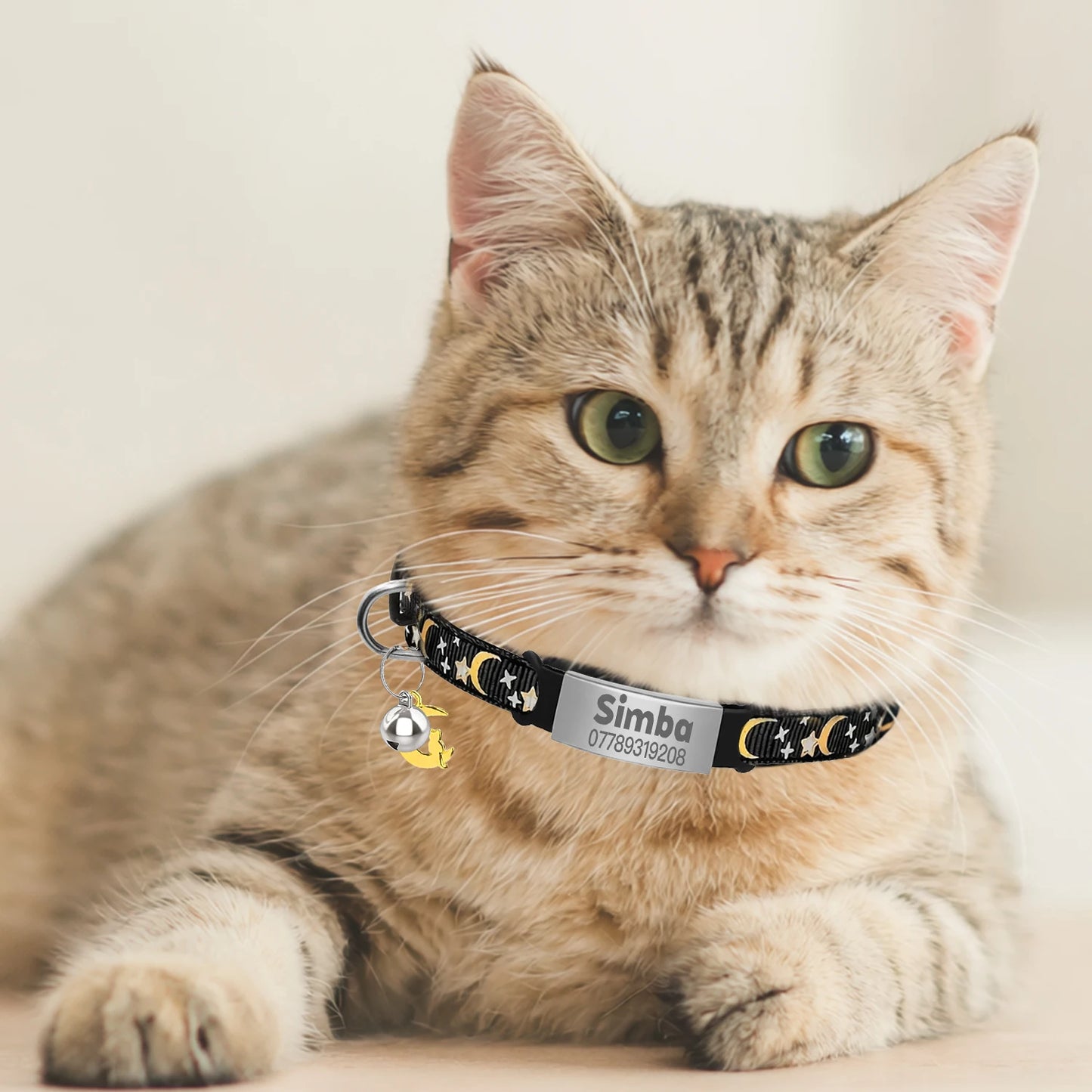 Customized Glow In The Dark Pet Collar (Free Engraved)