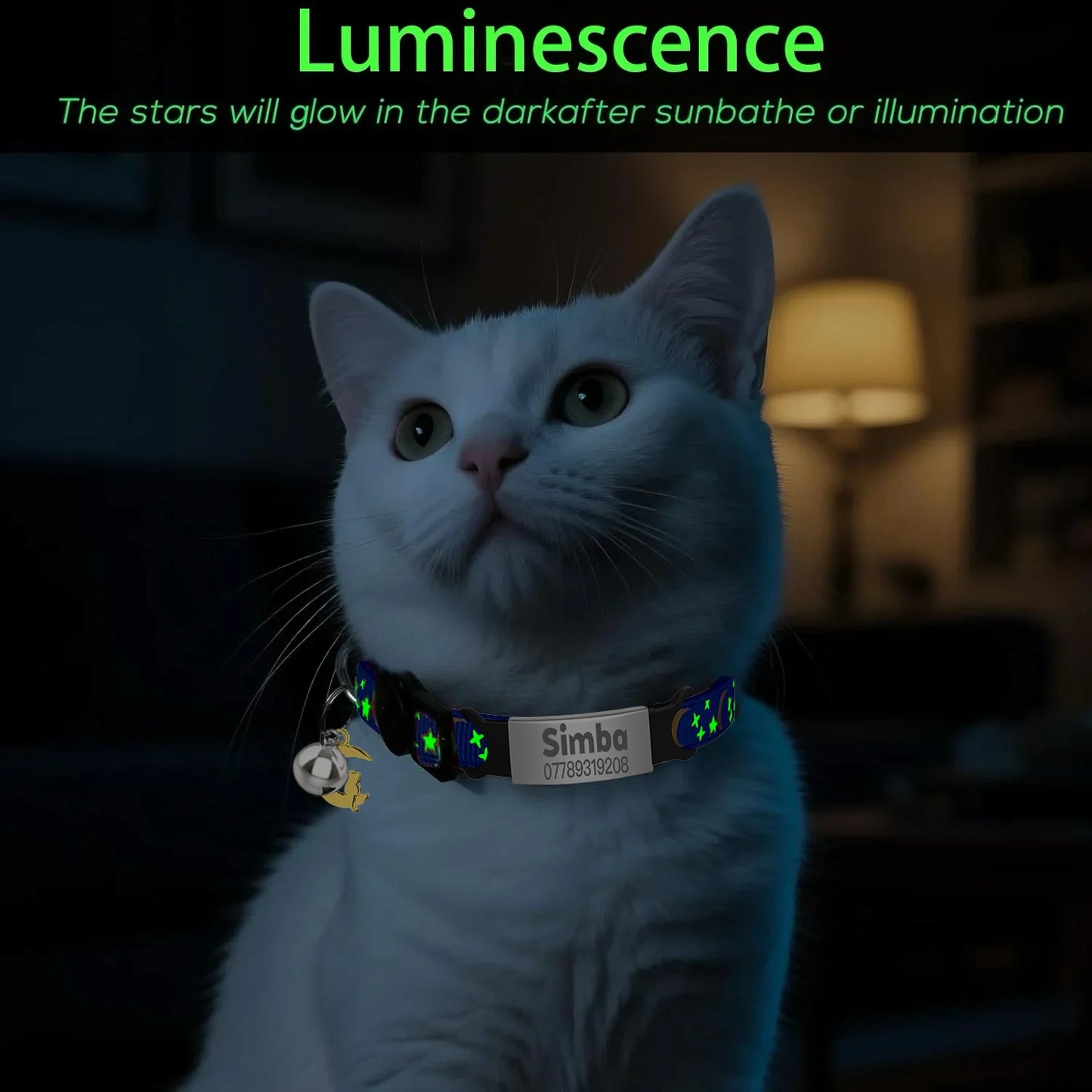 Customized Glow In The Dark Pet Collar (Free Engraved)