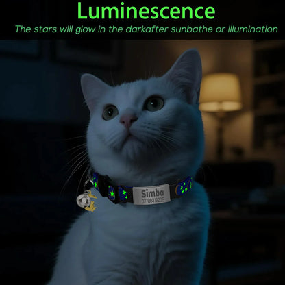 Customized Glow In The Dark Pet Collar (Free Engraved)