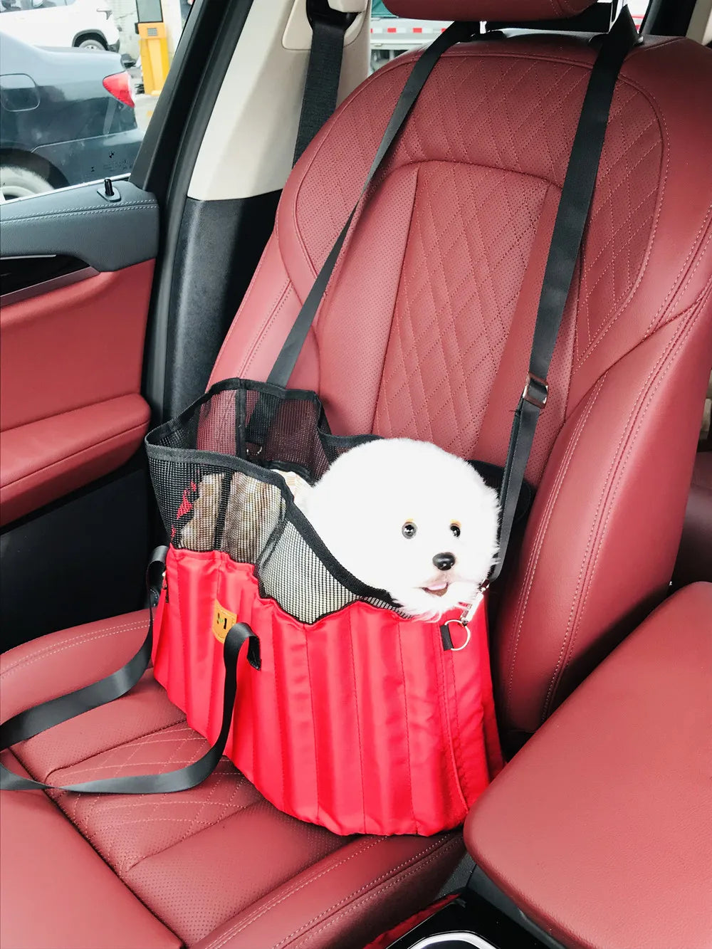 Portable Pet Carrier Bag - Comfortable Crossbody Shoulder Bag