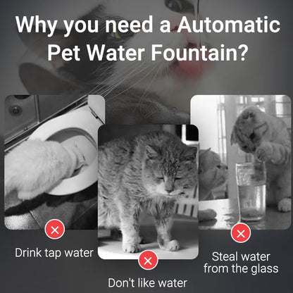 Pet Water Fountain - Water Dispenser
