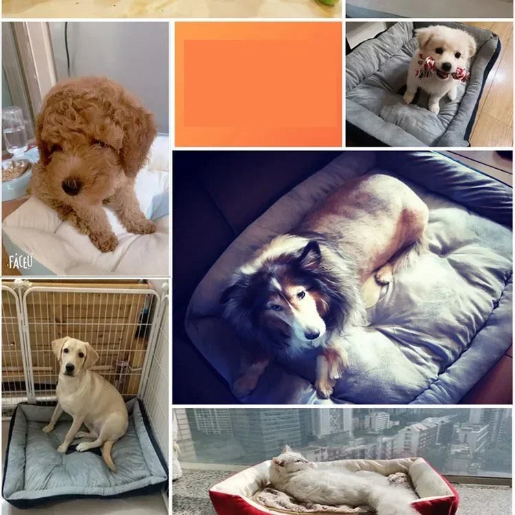 🐾 CozyPaw Bed